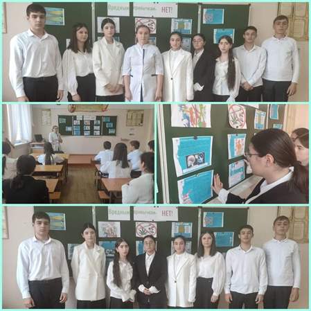 АНК24.