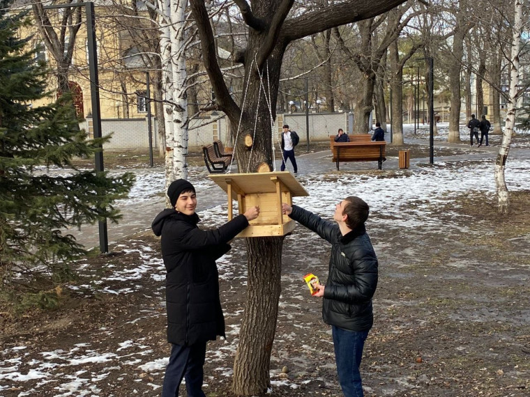 Волонтеры.